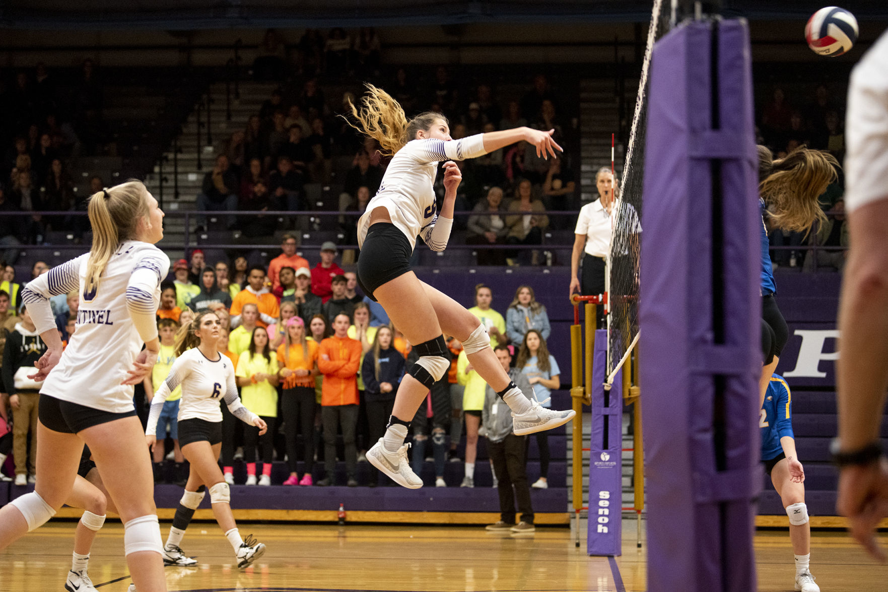 Sentinel vs. Big Sky volleyball 01
